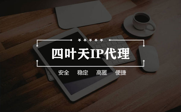 【云南代理IP】如何快速搭建代理IP？怎么检查代理的效果？